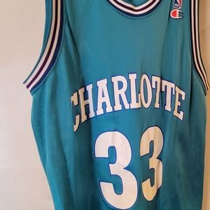 hornet's Jersey number 33